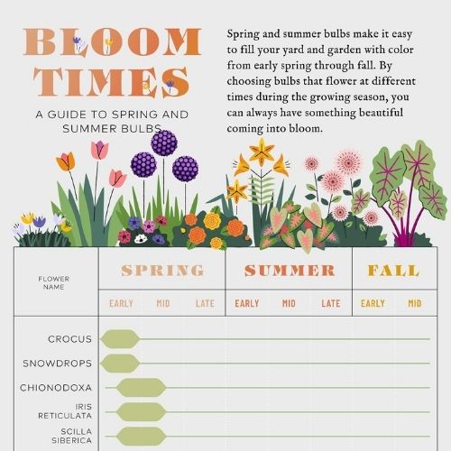 Bloom Time Planning Guide for Spring and Summer Bulbs