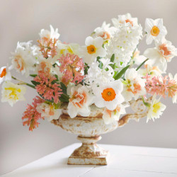 Assorted Flirty Fleurs Somerset Collection