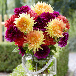 A bouquet of colorful decorative dahlias in a glass vase on an outdoor table, featuring flowers that are yellow, orange, red and purple.