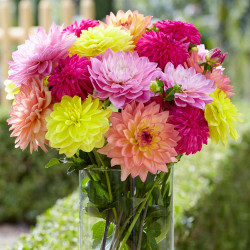 A bouquet of colorful decorative dahlias in a clear glass vase on an outdoor table, featuring flowers that are peach, pink, yellow and rose.