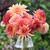 Dahlia Decorative Labyrinth